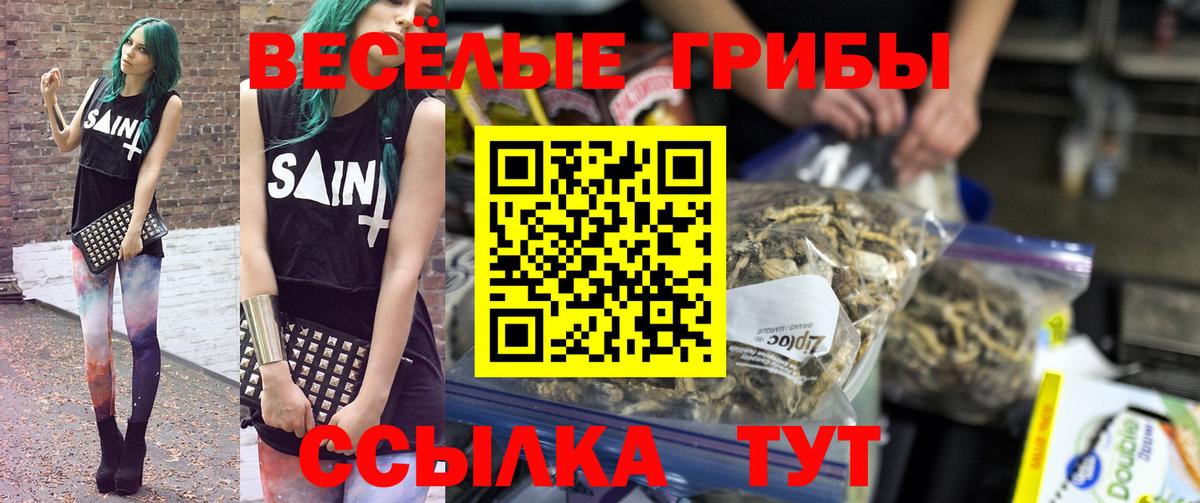 Псилоцибиновые грибы прущие грибы Новозыбков