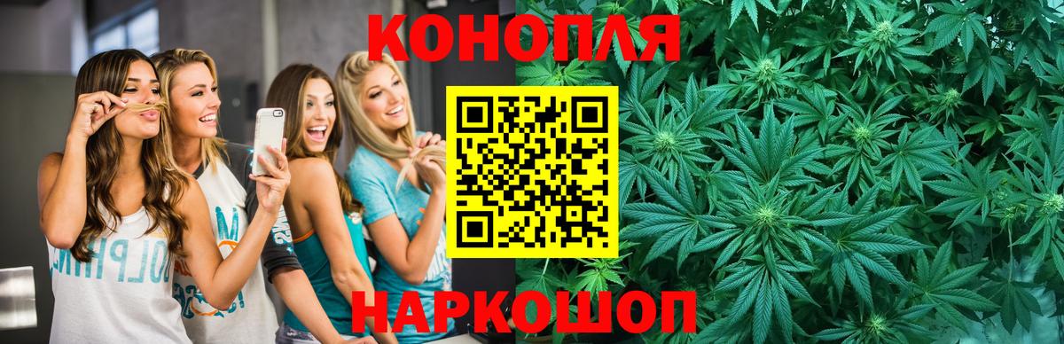 Бошки марихуана семена Новозыбков